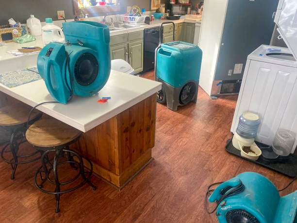 Best 24-hour water damage restoration  in Hickory, NC