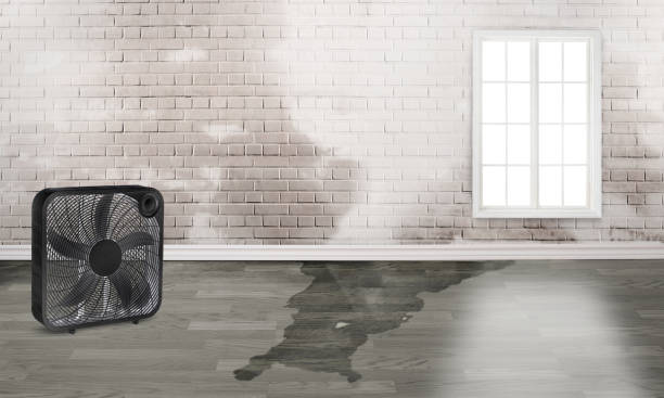  Hickory, NC Water damage restoration Pros