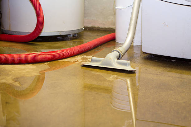 Best Water damage restoration near me  in Hickory, NC