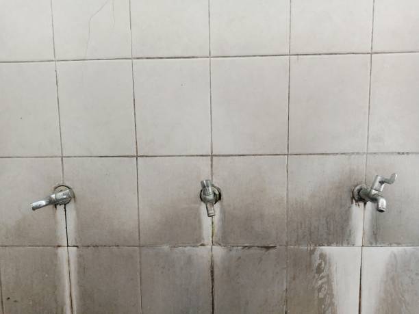 Best Flood restoration services  in Hickory, NC